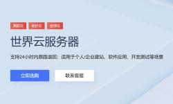 万维电讯：菲律宾VPS推荐-CN2线路三网直连