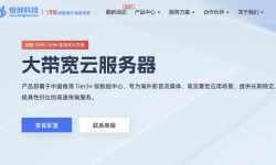 恒创主机：香港大带宽云服务器推荐-CN2线路-100Mbps独享带宽