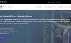 Server Gigabit：马来西亚服务器测评-原生纯净IP-适合跨境外贸