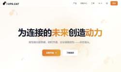 VPS.CAT：香港VPS测评-低至5美元/月-原生IP适合跨境业务
