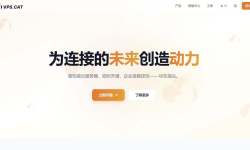 VPS.CAT：德国VPS测评-价格便宜-三网直连网络稳定