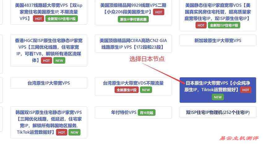 丽萨主机日本VPS购买教程-节点选择