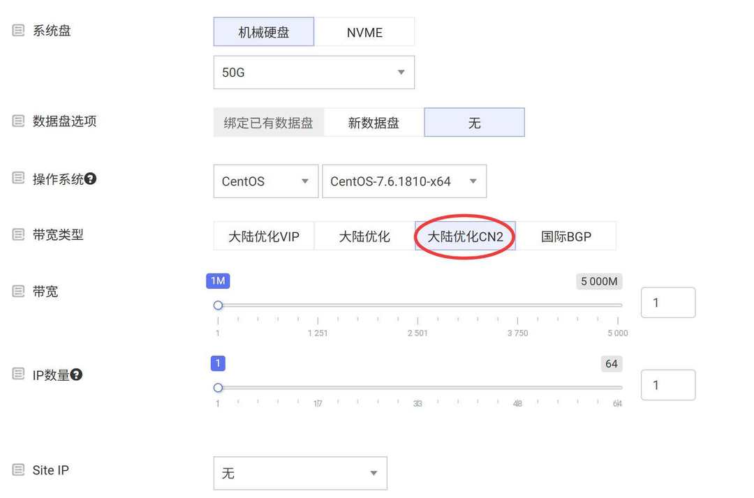 RAKsmart美国VPS购买教程-配置选择
