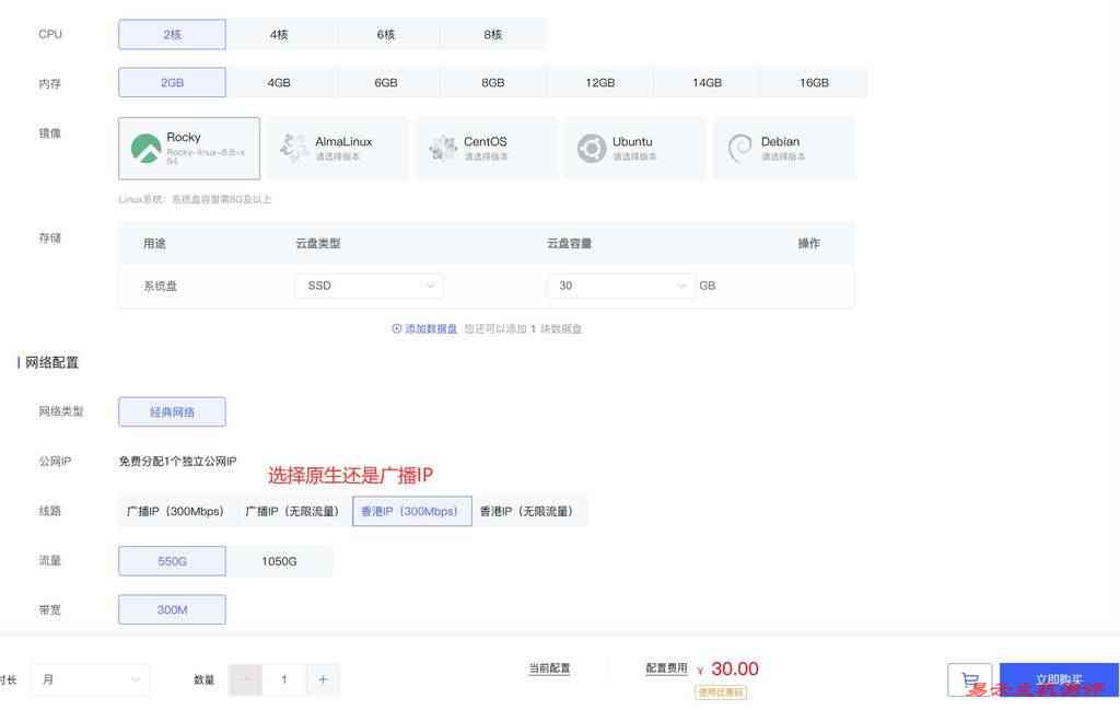 V5.NET香港VPS购买教程-配置选择