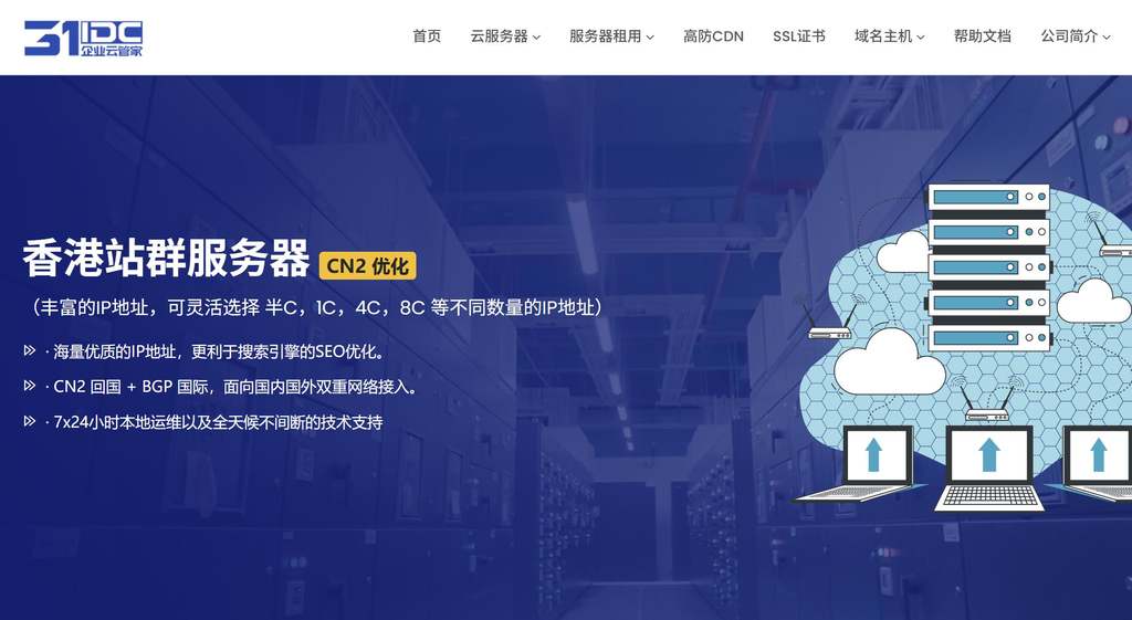 31IDC：香港站群服务器推荐-CN2线路/232个IP/SEO站群免备案