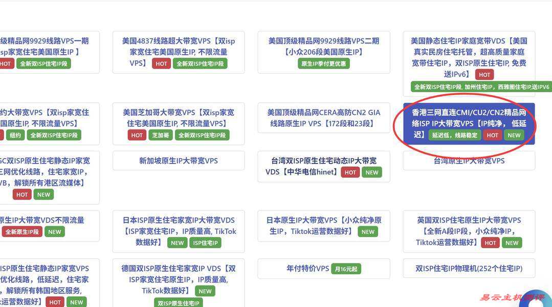 丽萨主机香港VPS购买教程-节点选择